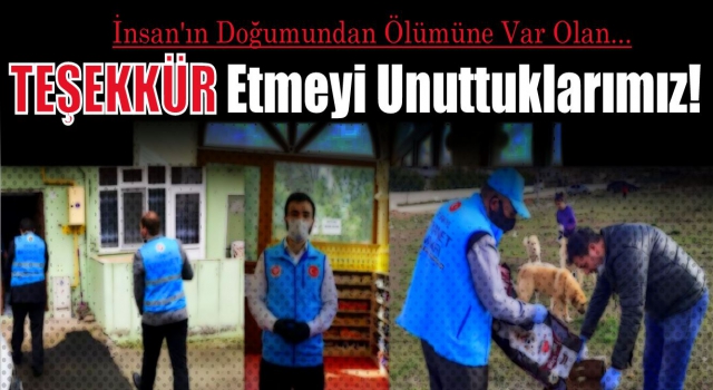 Teşekkür etmeyi unuttuklarımız!...