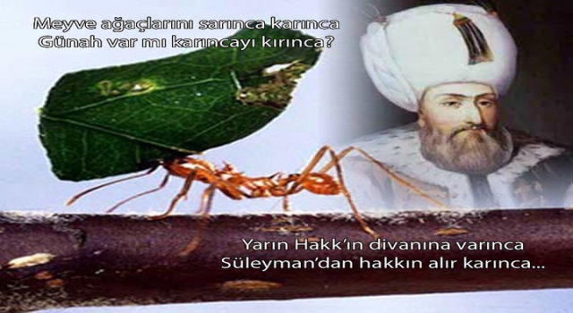Süleyman’dan hakkın alır karınca