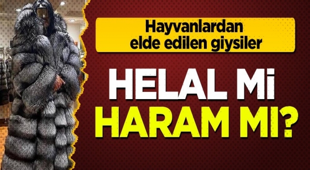 Hayvanlardan elde edilen kıyafetler helal mi, haram mı?