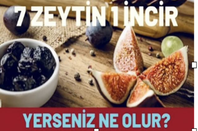 Yedi Zeytin, Bir İncir Hârika MÛCİZE