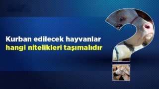 Kurban edilecek hayvanlar hangi nitelikleri taşımalıdır?