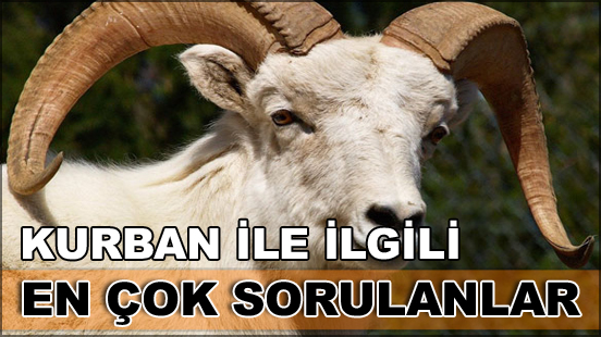 Kurbanla ilgili sıkça sorulan sorular ve bu sorulara verilen cevaplar burada...