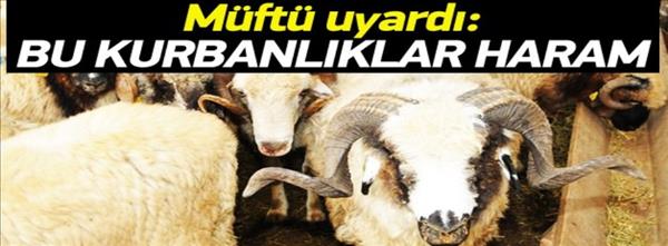 Müftü Karatepe: 'Kaçak hayvanlar kurban sayılmaz'