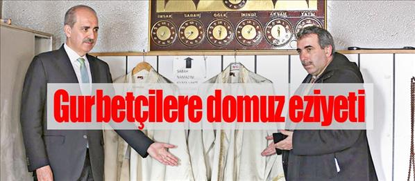 Gurbet&#231;ilere domuz eziyeti