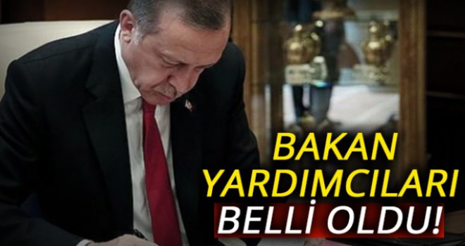 Cumhurbaşkanı Erdoğan bakan yardımcılarını atadı