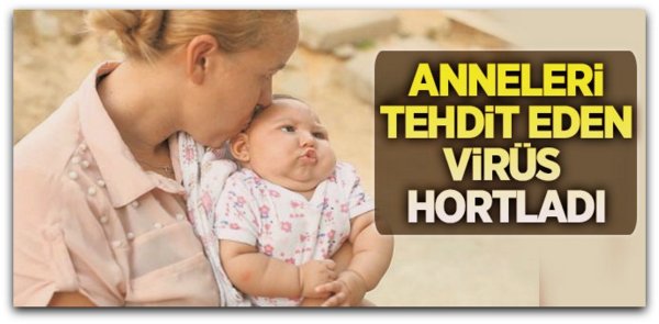 Anneleri tehtid eden \'Zika Virüsü\' hortladı