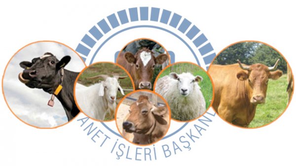 Diyanet İşleri Başkanlığından kurban tebliği