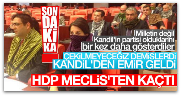 HDP, TBMM\'den çekilme kararı aldı