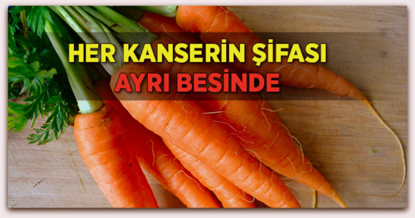 Her Kanserin Şifası Farklı Besinlerde