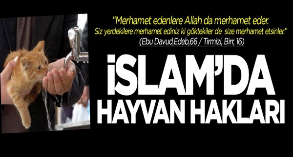 İslam\'da hayvan hakları ve hayvanlara eziyetin cezası