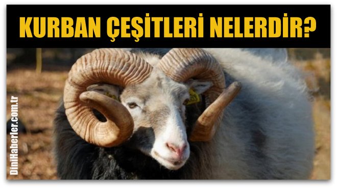 Kurban Çeşitleri Nelerdir?