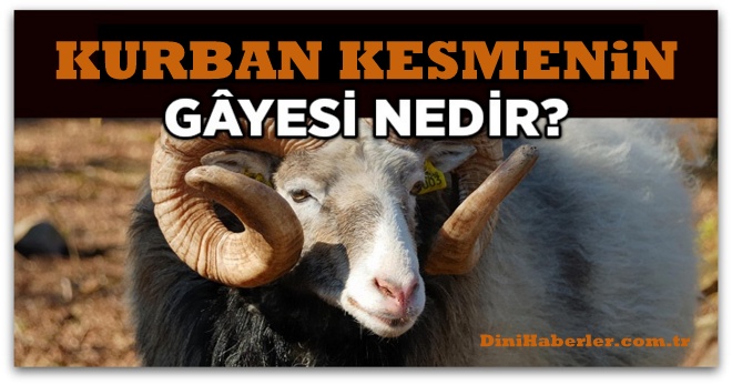 Kurban Kesmenin Gayesi Nedir?