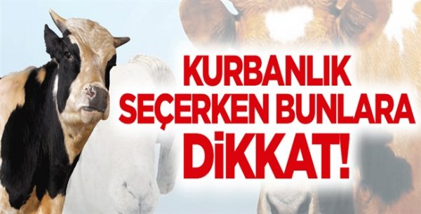 Kurbanlık seçerken bunlara dikkat