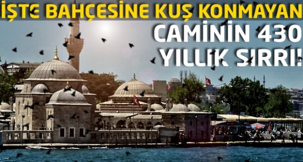 Kuşların konamadığı cami: Şemsi Paşa Camii