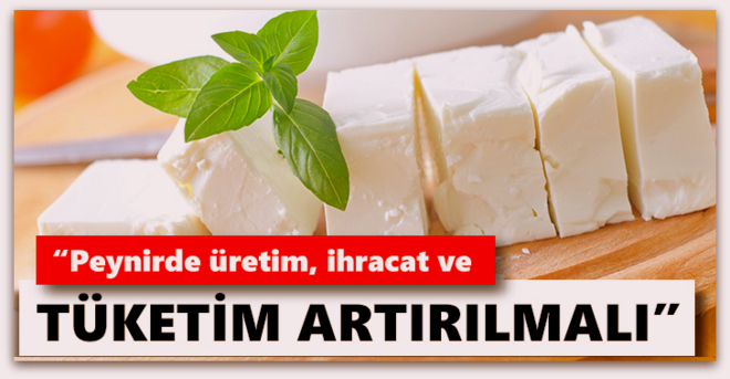 Sütün geleceği peynirde…