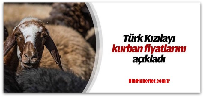 Türk Kızılayı kurban fiyatlarını açıkladı
