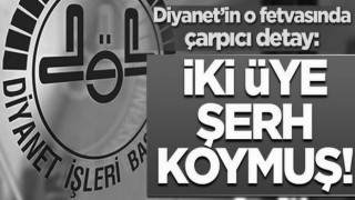 Diyanet'in o fetvasında çarpıcı detay: İki üye şerh koymuş
