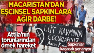 Macaristan'dan eşcinsel sapkınlara ağır darbe!