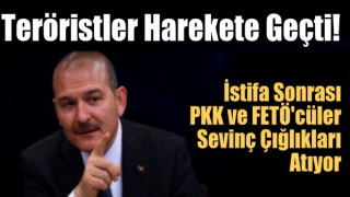 Süleyman Soylu'nun istifası sonrası Teröristler harekete geçti!