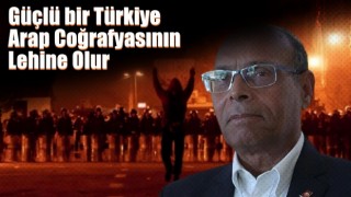 Güçlü bir Türkiye Arap coğrafyasının lehine