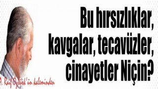 Bu hırsızlıklar, kavgalar, tecavüzler, cinayetler Niçin?