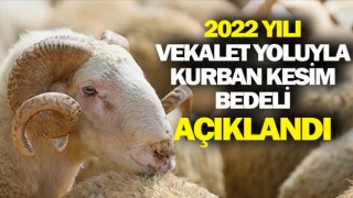 2022 yılı vekaletle kurban bedelleri açıklandı