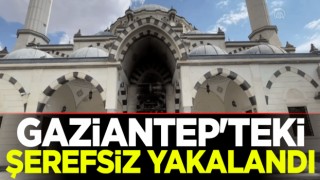 Gaziantep'teki şerefsiz yakalandı
