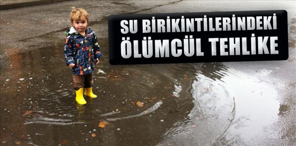 Su birikintilerindeki ölümcül tehlike