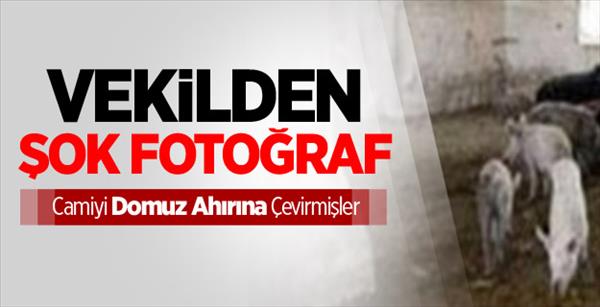 Vekilden Şok Fotoğraf!