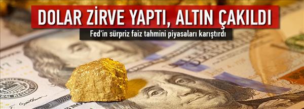 Dolar zirve yaptı, altın çakıldı