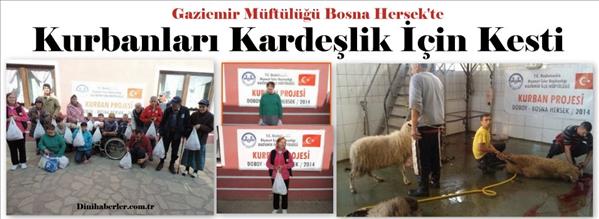 Kurbanlar Kardeşlik İçin Kesildi