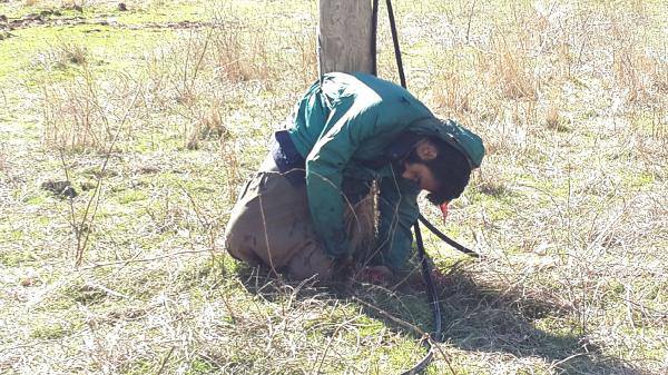 Direğe bağlayıp kurşuna dizdiler