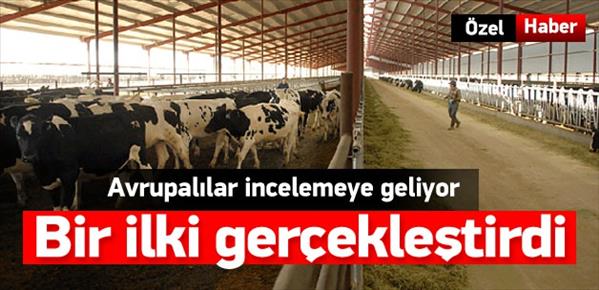 Hayvancılık sektörüne devrim gibi model!