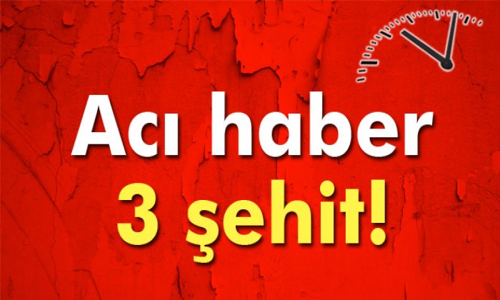 Diyarbakır\'dan Acı Haber: 3 Şehit