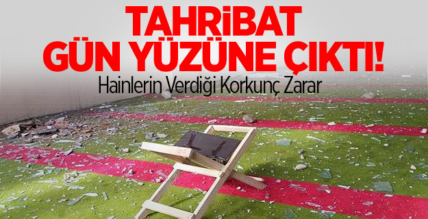 Hainlerin Verdiği Korkunç Zarar!