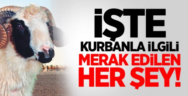Kurban'la İlgili En Çok Sorulan Sorular ve Cevapları