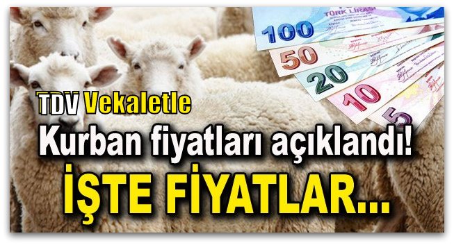  Türkiye Diyanet Vakfı Vekaletle Kurban Fiyatları açıklandı